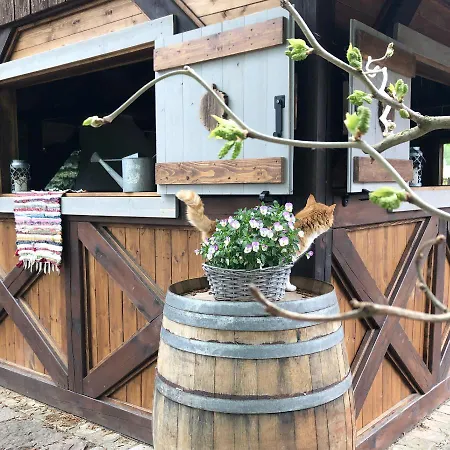 Dworek Szyszki - Kaszuby * Liniewko