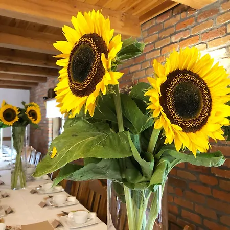 Dworek Szyszki - Kaszuby 別荘 *