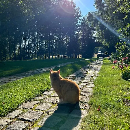 Dworek Szyszki - Kaszuby Liniewko