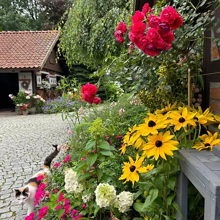 Dworek Szyszki - Kaszuby 別荘 *