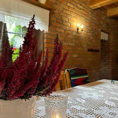 Dworek Szyszki - Kaszuby 別荘 Liniewko