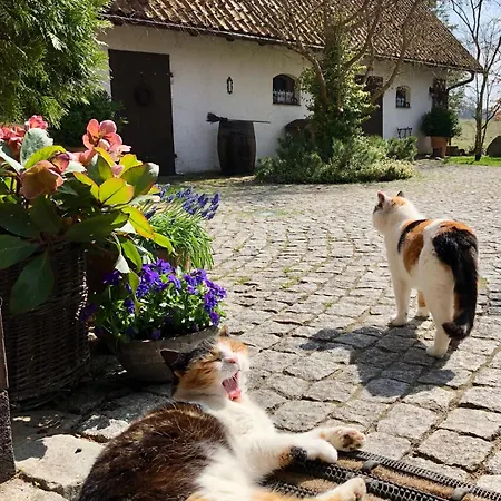 Dworek Szyszki - Kaszuby *