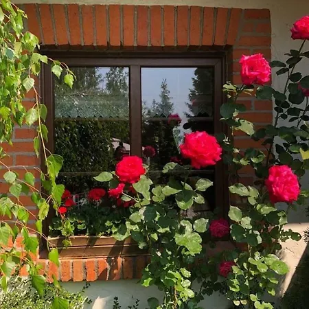 Dworek Szyszki - Kaszuby 別荘 *