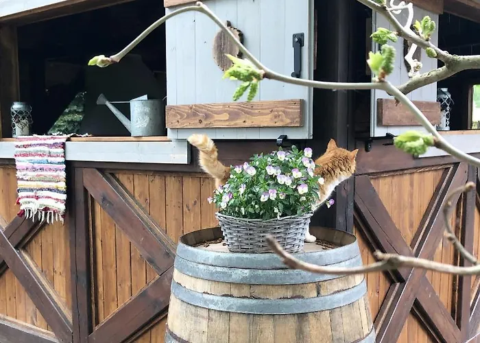 Dworek Szyszki - Kaszuby * Liniewko