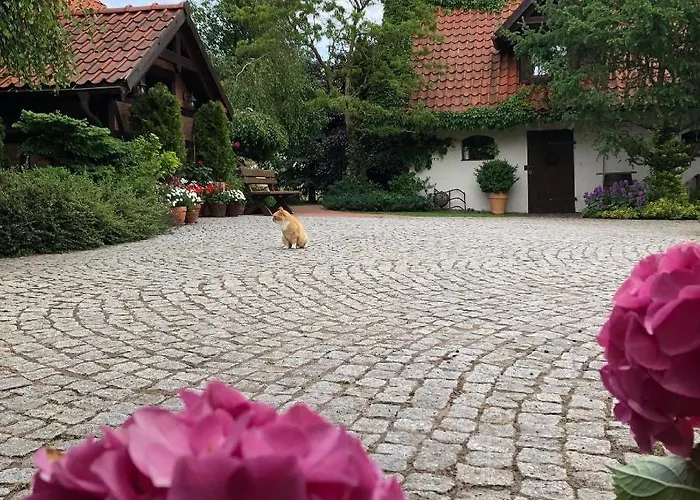 Dworek Szyszki - Kaszuby