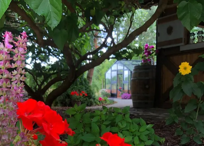 Dworek Szyszki - Kaszuby * Liniewko