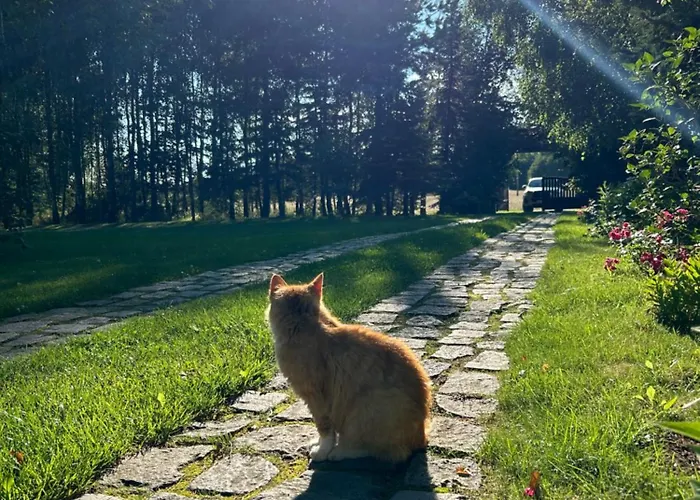 Dworek Szyszki - Kaszuby Liniewko