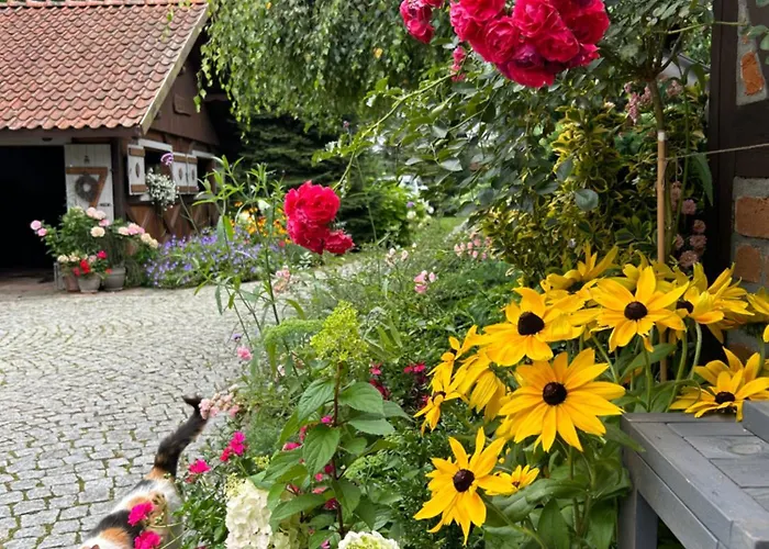 Dworek Szyszki - Kaszuby بيت للعطل *