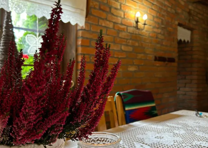 Dworek Szyszki - Kaszuby بيت للعطل Liniewko