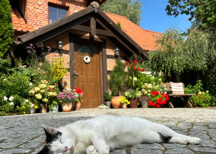 بيت للعطل Dworek Szyszki - Kaszuby Liniewko