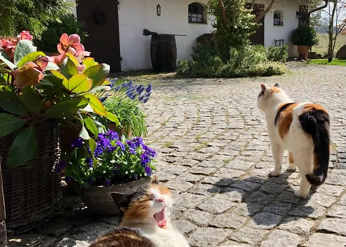 Dworek Szyszki - Kaszuby *